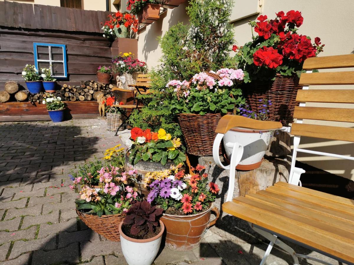 潘鸥瑞特迈耶酒店 Vysoké Tatry 外观 照片